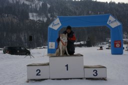 Lenk 2012 SM